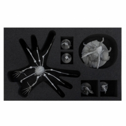 Feldherr foam tray set for KDM 1.5 Wave 2: Spidicules, Sunstalker and three small minis