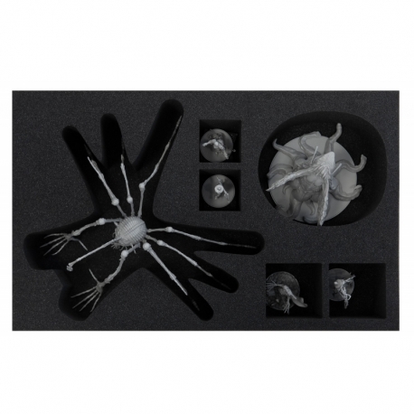 Feldherr foam tray set for KDM 1.5 Wave 2: Spidicules, Sunstalker and three small minis