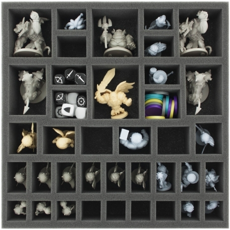AG055AQ04 55 mm foam tray for Arcadia Quest