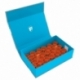 Feldherr Magnetic Box azul para 36 botes de pintura Citadel (18 ml o 24 ml)