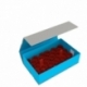 Feldherr Magnetic Box azul para 36 botes de pintura Citadel (18 ml o 24 ml)