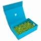 Feldherr Magnetic Box azul para 36 botes de pintura Citadel (18 ml o 24 ml)