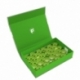 Feldherr Magnetic Box green for 36 Citadel paint pots (12 ml)