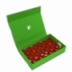 Feldherr Magnetic Box green for 36 Citadel paint pots (12 ml)