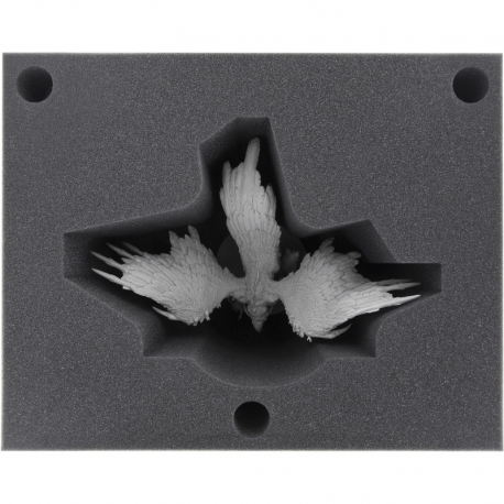 FS01Set full-size two-part foam tray for KDM 1.5 - Phoenix