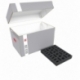 Feldherr Storage Box DS for Craftworlds