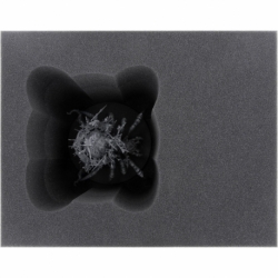 Feldherr foam tray set for Arachnarok Spider + Mangler Squigs