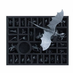 Feldherr foam tray set for The Lord of the Rings: 2 x Winged Nazgûl