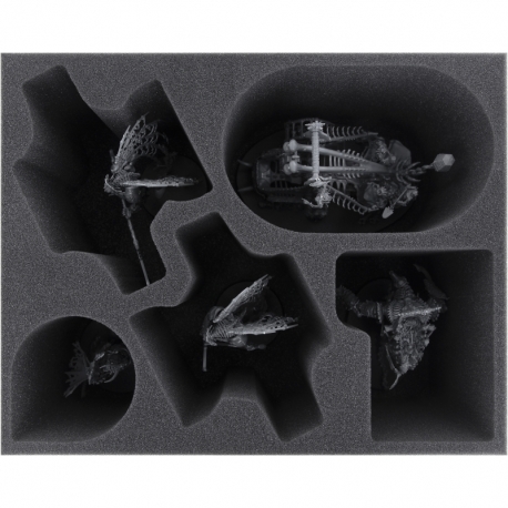 Feldherr Storage Box DS for Ossiarch Bonereapers