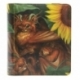 Dragon Shield Card Codex Portfolio 80 - Tangerine 'Dyrkottr'