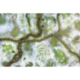 Kraken Wargames Gaming Mat - Snow Valley 6x4 Gaming Mat