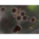 Kraken Wargames Gaming Mat - Battlefield 30x22 (Kill Team & Warcry)