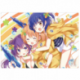 Bushiroad Rubber Mat Collection V2 Vol.98