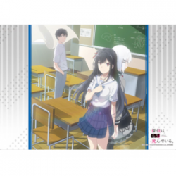 Bushiroad Rubber Mat Collection V2 Vol.236