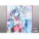 Bushiroad Rubber Mat Collection V2 Vol.237