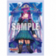 Bushiroad Sleeve Collection Mini Vol.539 (70 Sleeves)