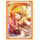 Bushiroad Sleeve Collection HG D4DJ Groovy Mix Vol.3102 (75 Sleeves)