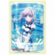 Bushiroad Sleeve Collection HG D4DJ Groovy Mix Vol.3113 (75 Sleeves)