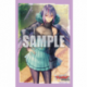 Bushiroad Sleeve Collection Mini Vol.562