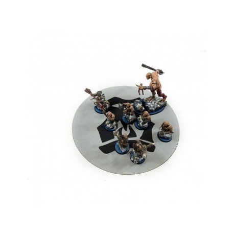 Bandua - Objective Areas AoS 3rd Edition - Destruction (4)