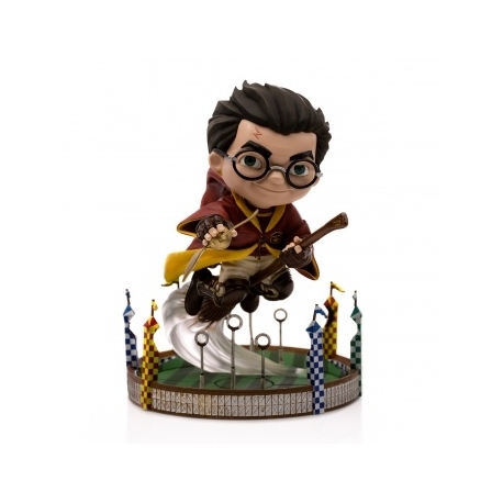 Harry Potter at the Quiddich Match - Harry Potter - MiniCo Illusion