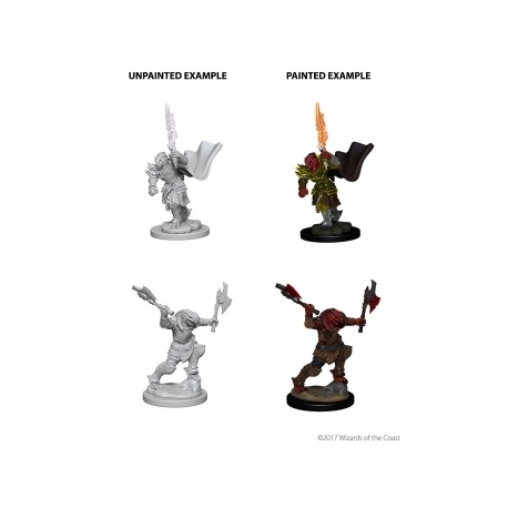 D&D Nolzur's Marvelous Miniatures - Dragonborn Female Fighter (6 Units)