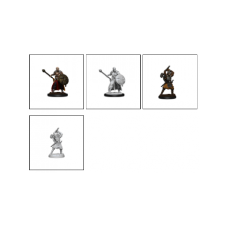 D&D Nolzur's Marvelous Miniatures - Human Barbarian Male (6 Units)