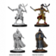 D&D Nolzur's Marvelous Miniatures - Male Elf Paladin (6 Units)
