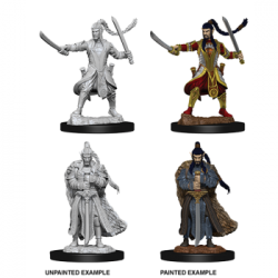 D&D Nolzur's Marvelous Miniatures - Male Elf Paladin (6 Units)
