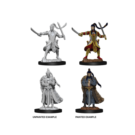 D&D Nolzur's Marvelous Miniatures - Male Elf Paladin (6 Units)