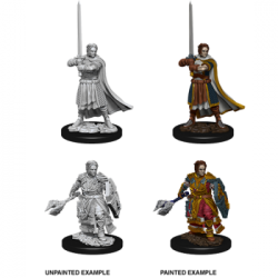 D&D Nolzur's Marvelous Miniatures - Male Human Cleric (6 Units)
