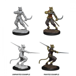 D&D Nolzur's Marvelous Miniatures - Male Tabaxi Rogue (6 Units)