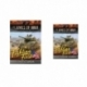 Flames of War - American Fighting First Card Bundle (Inglés)