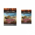 Flames of War - British Desert Rats Card Bundle (Inglés)