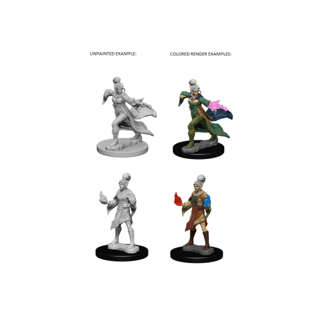 Pathfinder Deep Cuts Unpainted Miniatures - Elf Female Sorcerer (6 Units)