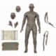 Universal Monsters - 7 Scale Action Figure - Ultimate Mummy (Color)