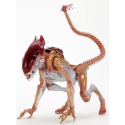 Aliens - 7 Scale Action Figure - Kenner Tribute Panther Alien