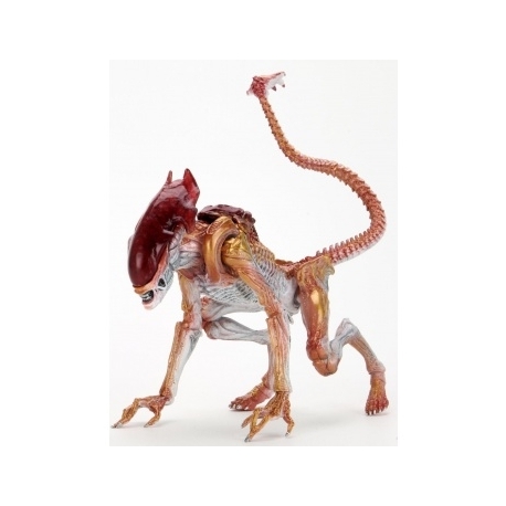 Aliens - 7 Scale Action Figure - Kenner Tribute Panther Alien