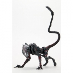 Aliens - 7 Scale Action Figure - Kenner Tribute Night Cougar Alien
