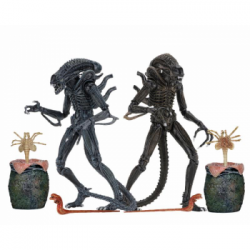 Aliens (1986) - Ultimate Alien Warrior Action Figure 7-inch Scale Assortment (8)