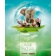 Ark Nova board game from Feuerland Spiele and Maldito Games